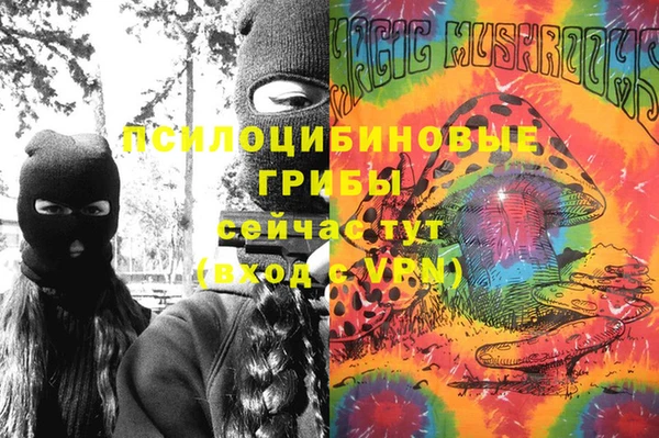 mdpv Сосновый Бор