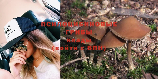 mdpv Сосновый Бор