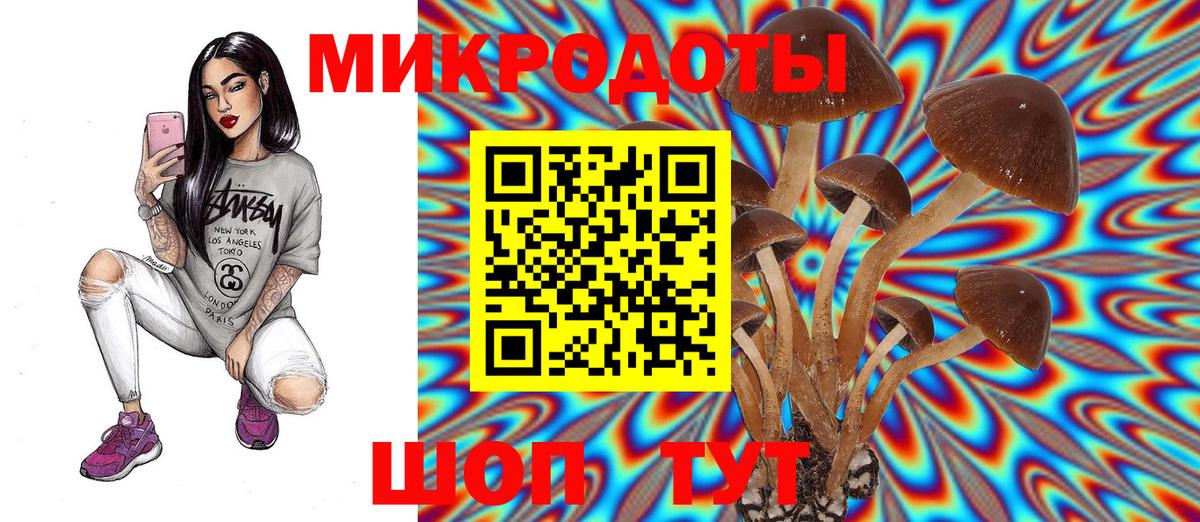 Усинск  Галлюциногенные грибы Cubensis  Вход с VPN 